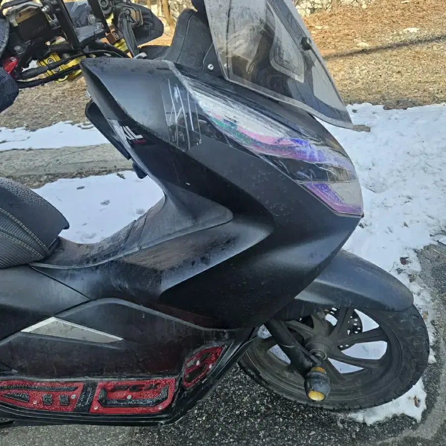 2019년식 PCX