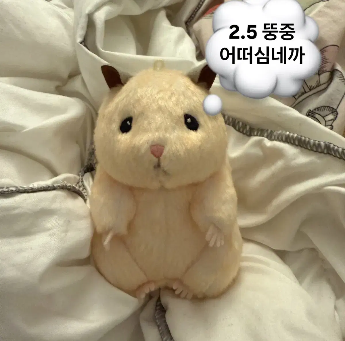 스케로쿠 뚱쭝해 성한빈인형