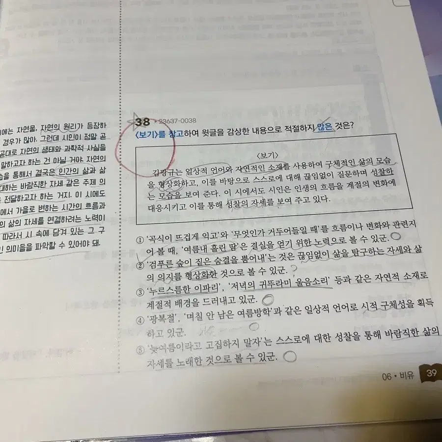 (택포) 윤혜정의 개념의 나비효과