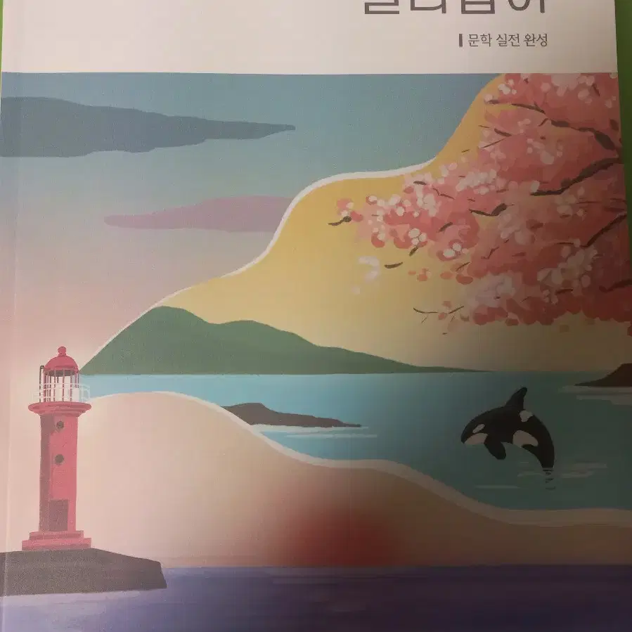 시대인재 강은양 5권 일괄