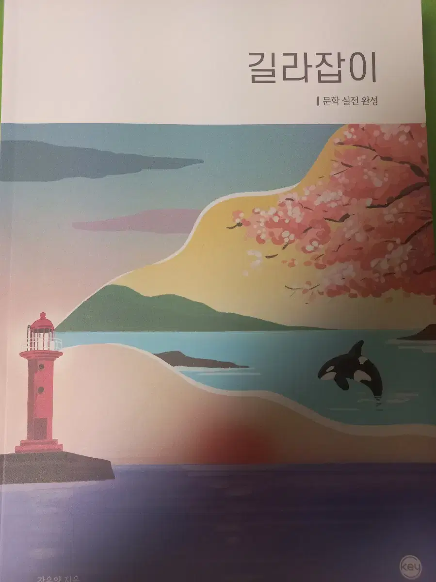 시대인재 강은양 5권 일괄