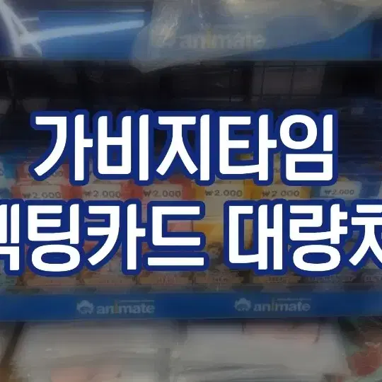 갑타 콜카 콜렉팅카드 대량처분