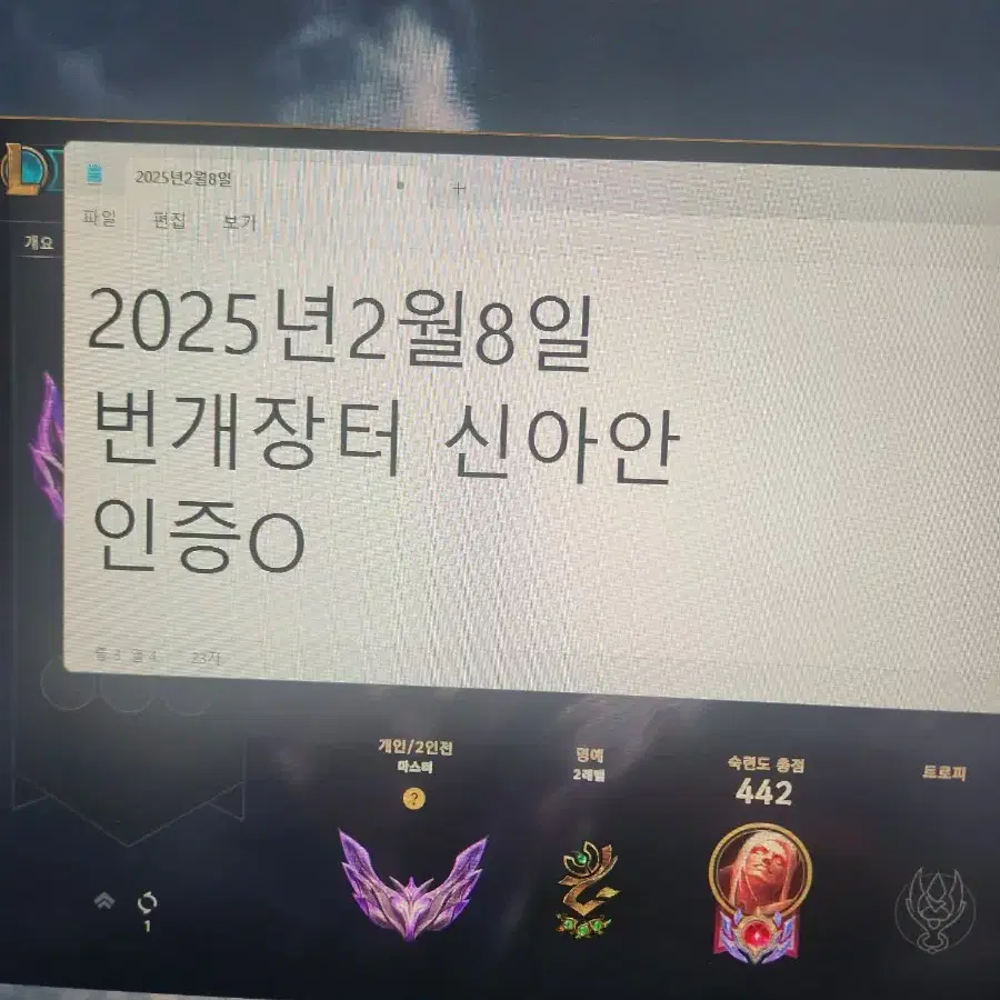 롤 개인강사