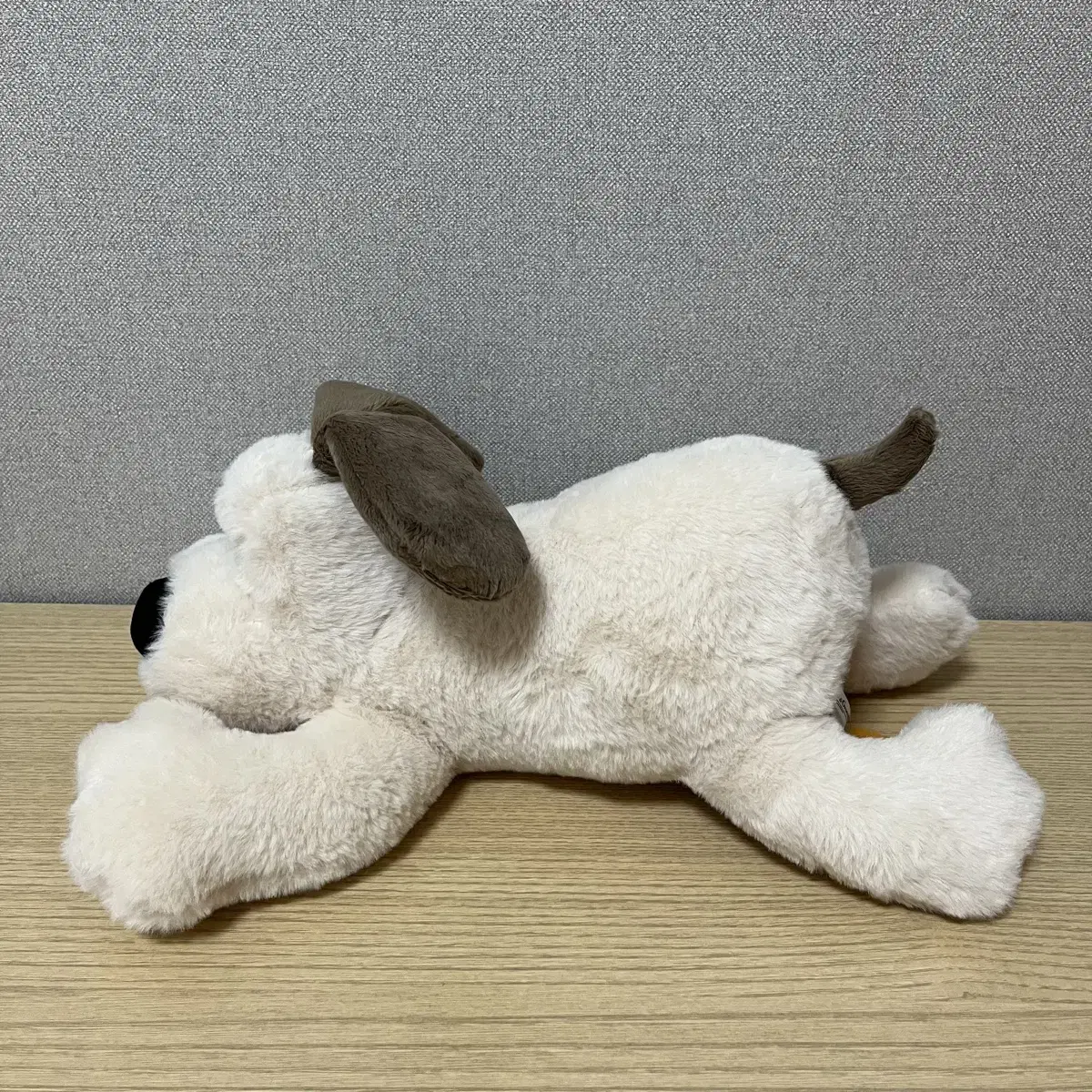 그로밋 라잉 인형 40cm