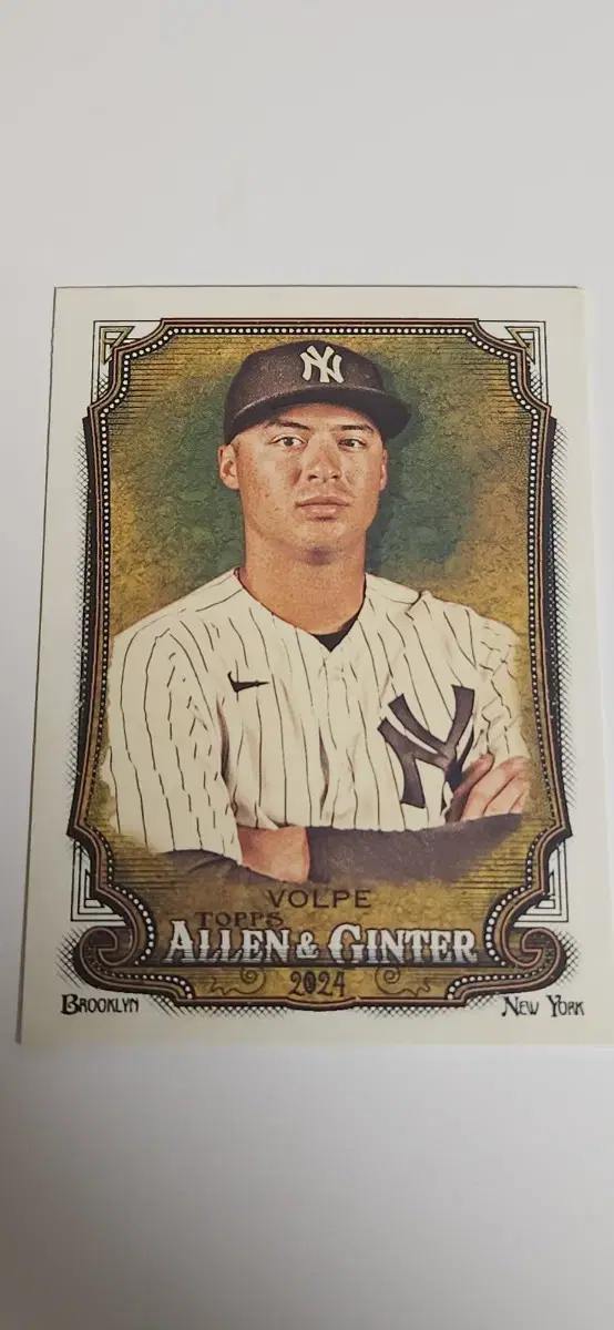 Tops Allen Ginter 2024 Anthony Volpe