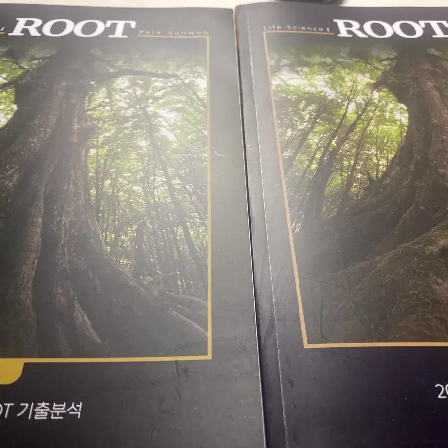 박선우 선생님 Root 추론형 파트1.2일괄