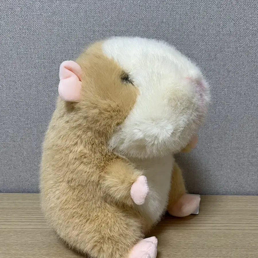 모루못토상 샌디브라운 인형 25cm