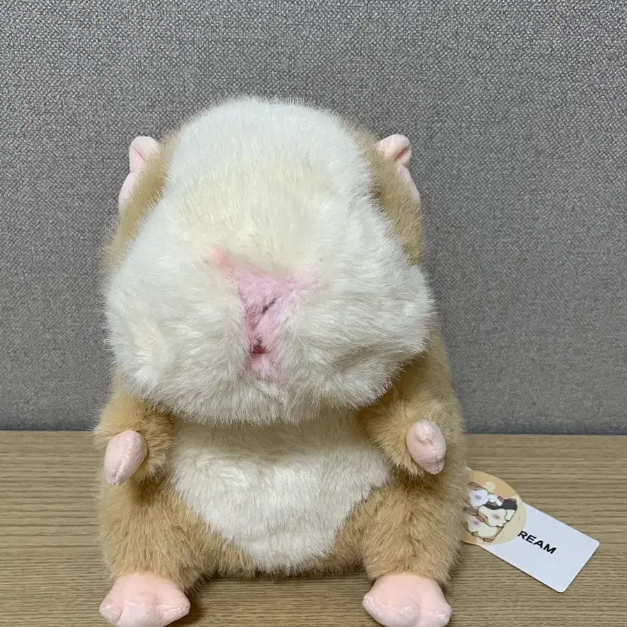 모루못토상 샌디브라운 인형 25cm