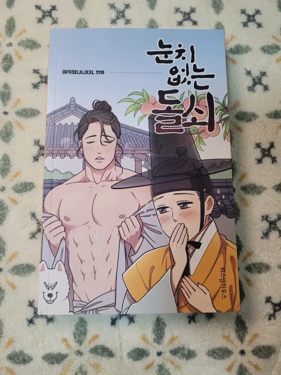 반택포 만화책 눈치없는 돌쇠