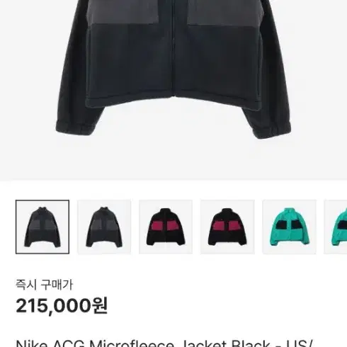 XL 나이키 ACG 마이크로폴리스 자켓