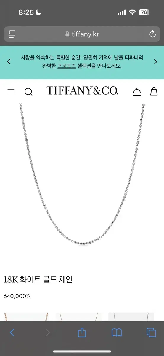 Tiffany & Co. White Gold Necklace Chain Single Piece Full Pack