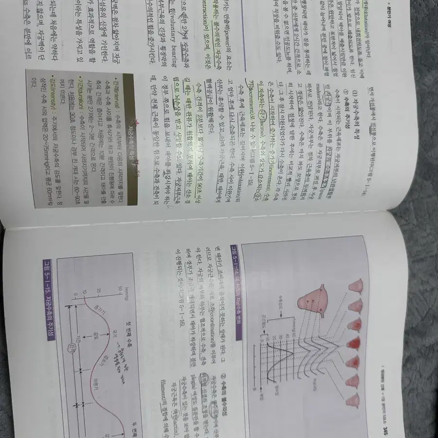 모성건강간호학 1,2 수문사