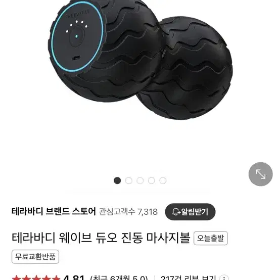 테라바디 웨이브 진동 맛사지기