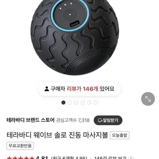 테라바디 웨이브 진동 맛사지기