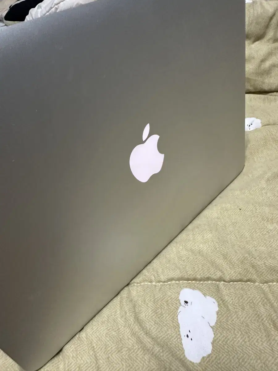 MacBook Air 2017 8GB RAM, 256GB SSD, Magic Mouse