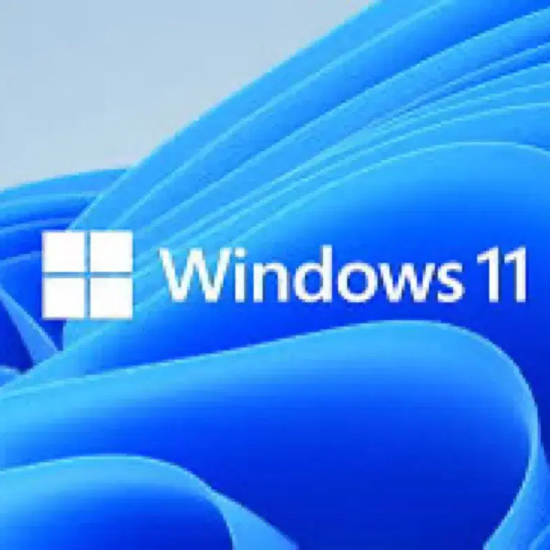 Windows 10/11 Home 및 Pro 버전과 MS Office 소