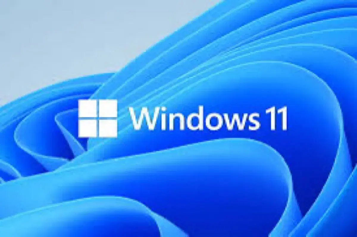 Windows 10/11 Home 및 Pro 버전과 MS Office 소