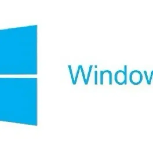 Windows 10/11 Home 및 Pro 버전과 MS Office 소