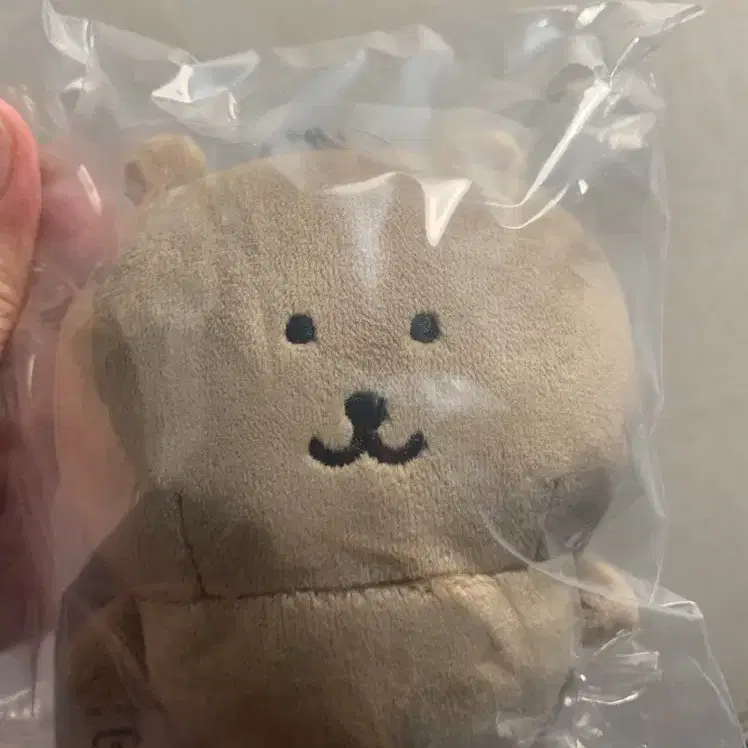 농담곰 태닝곰 판매합니다! (미개봉)