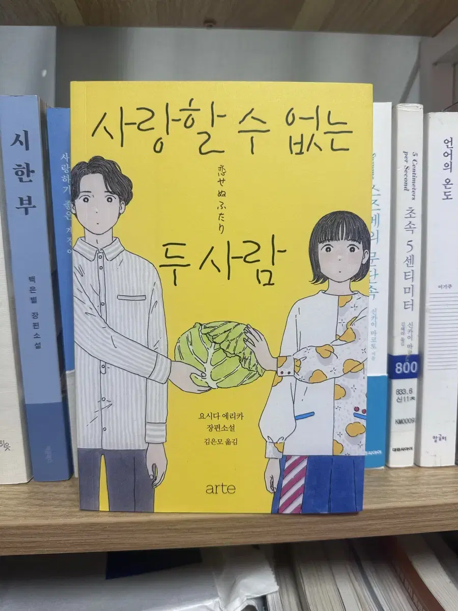 사랑할 수 없는 두사람