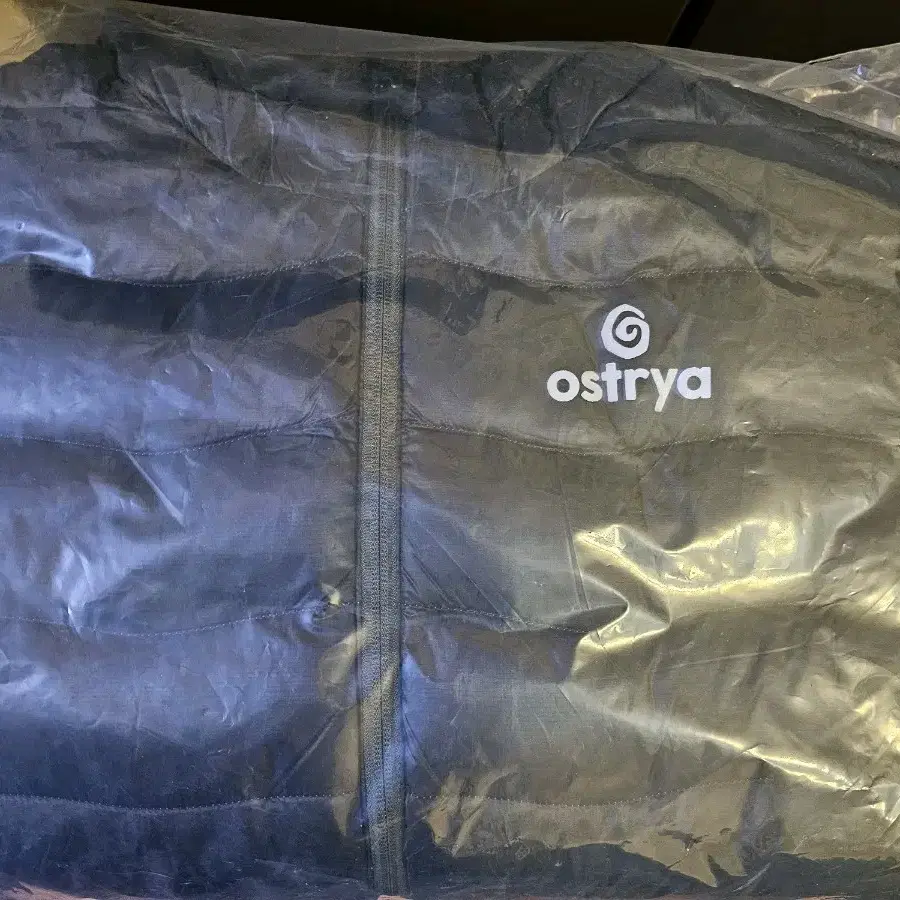 ostrya torpid down jacket L XL