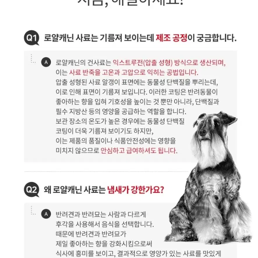 로얄캐닌 미디엄 퍼피,어덜트 사료 팝니다. 가성비최고 중형견사료 미개봉