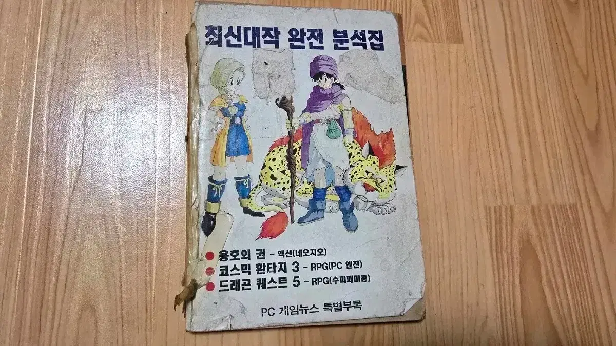 게임공략집