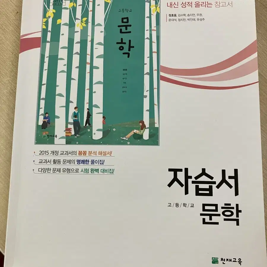 고2국어 문학 자습서와 평가문제집 메가스터디 대성 기출 마더텅 자이스토리