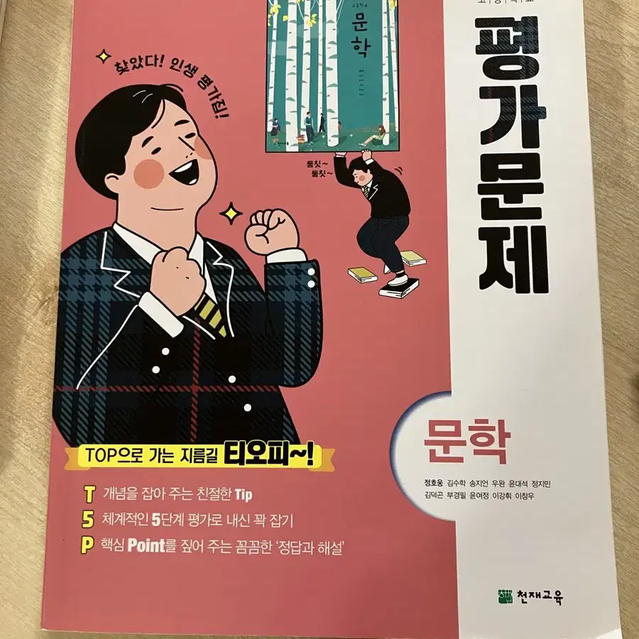 고2국어 문학 자습서와 평가문제집 메가스터디 대성 기출 마더텅 자이스토리