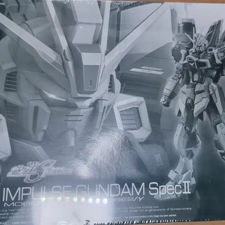 RG 블래스트 임펄스 SPEC 2