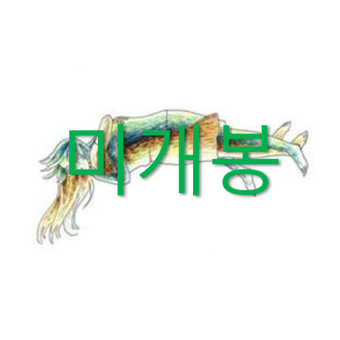 [미개봉] 버둥 (Budung) - 조용한 폭력 속에서 (CD)