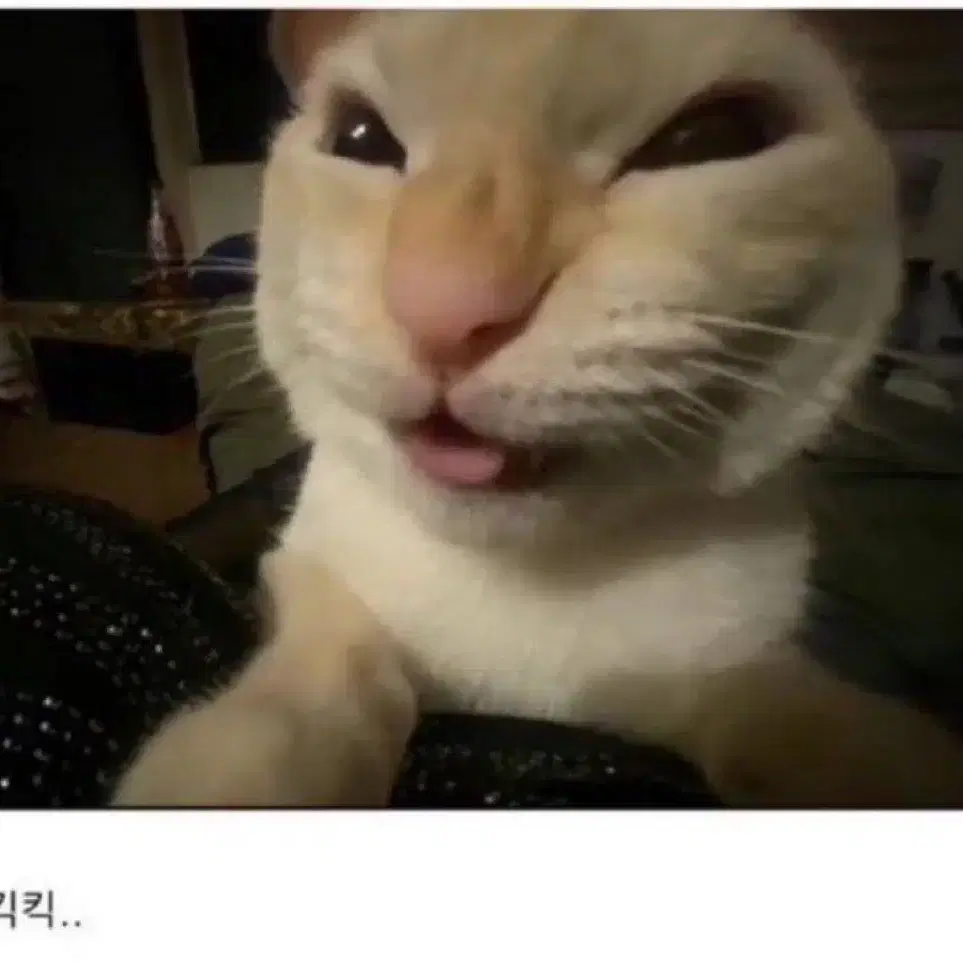 카드지갑 거래