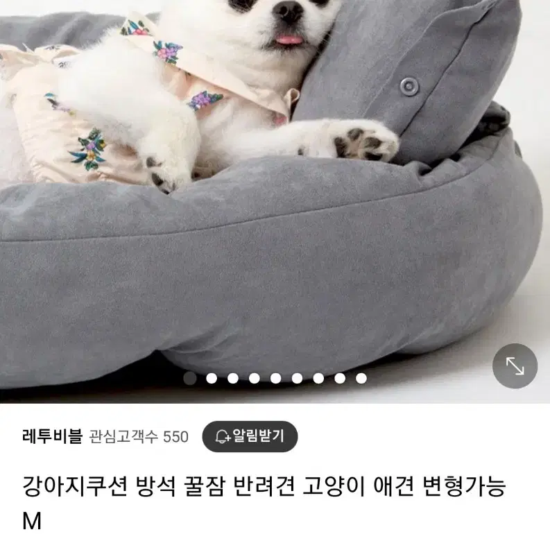 애견방석