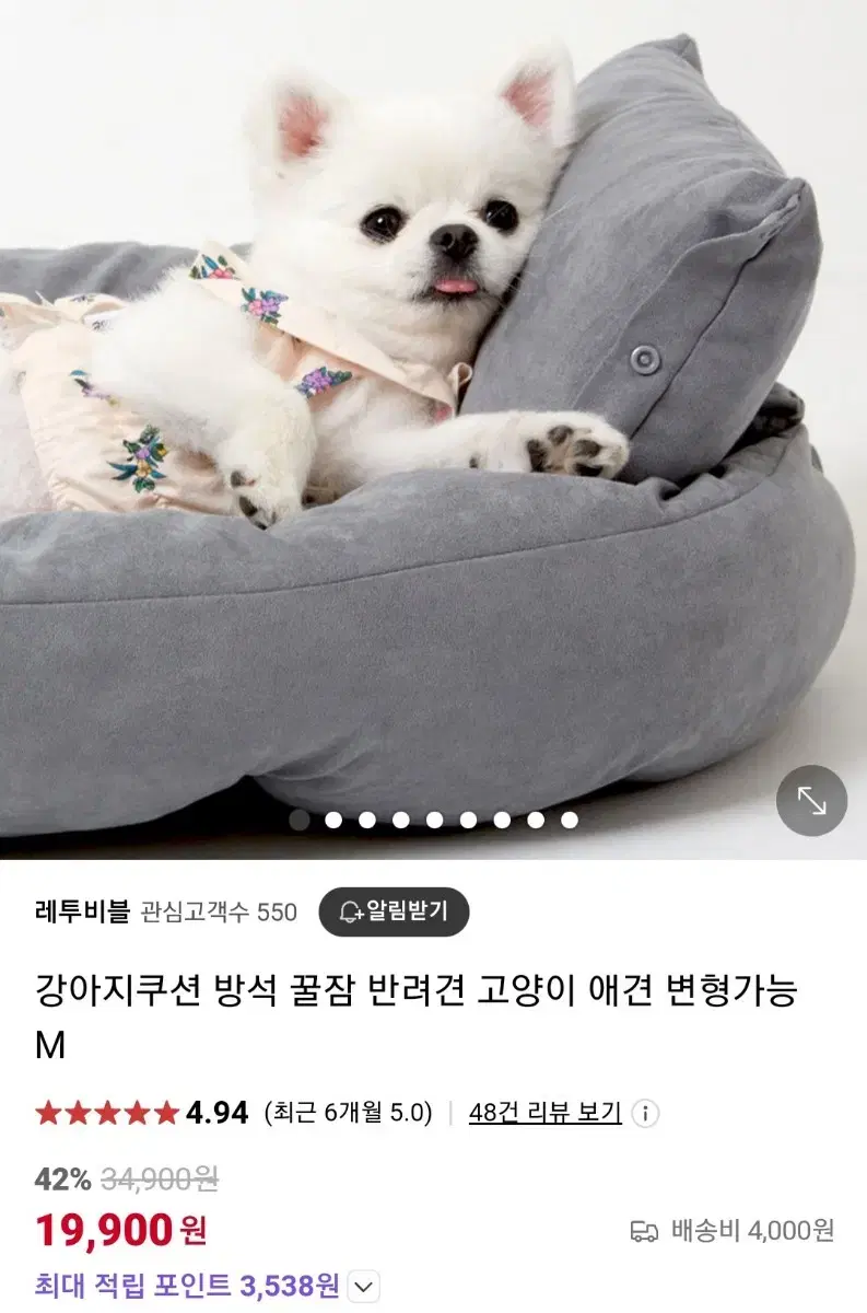 애견방석