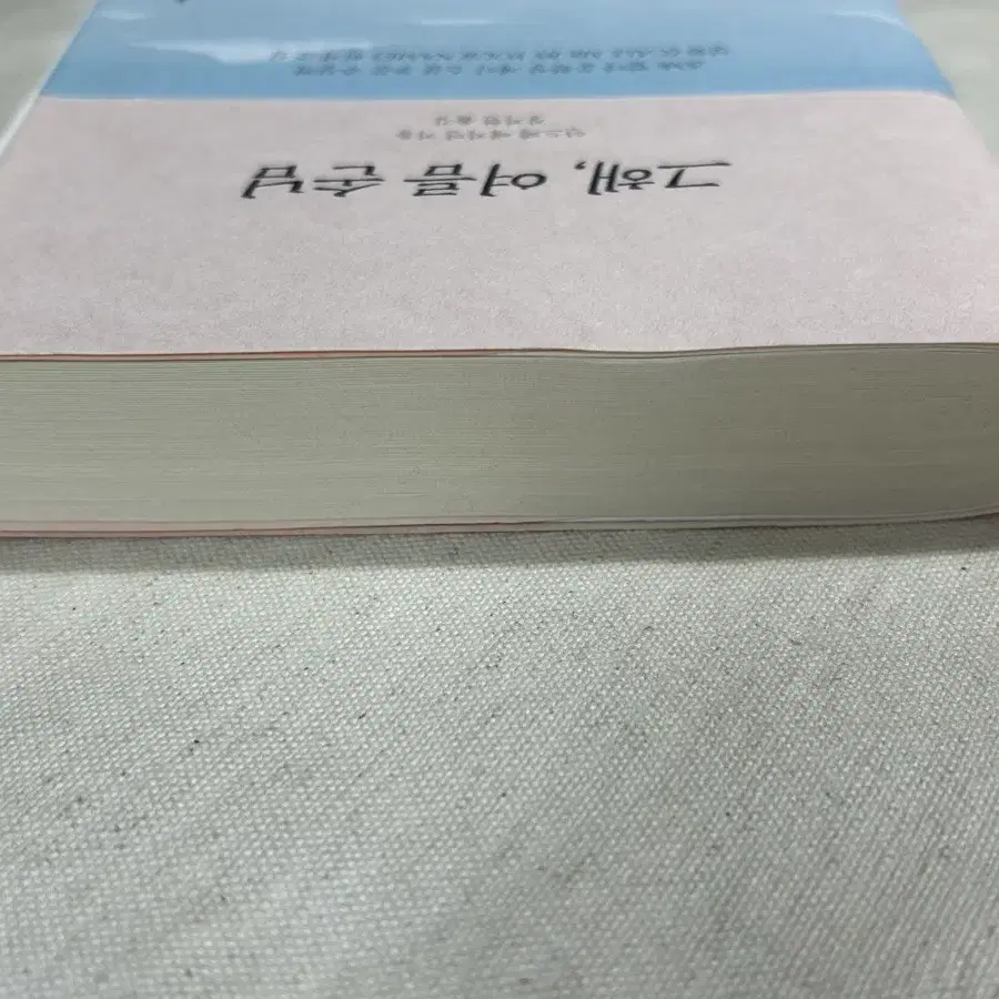 그해 여름 손님 콜미바이유어네임 소설 콜바넴