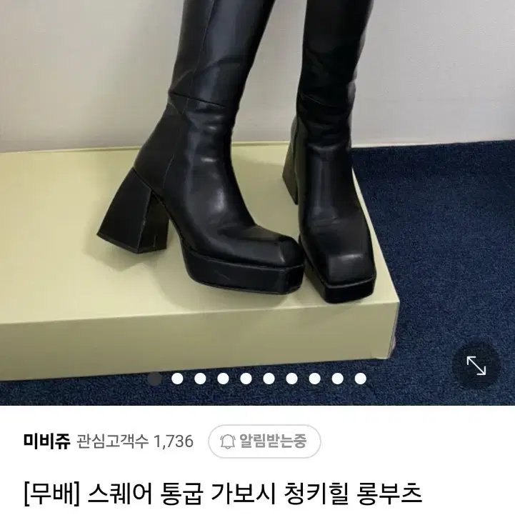 스퀘어통굽 가보시 청키힐 롱부츠 (블랙)