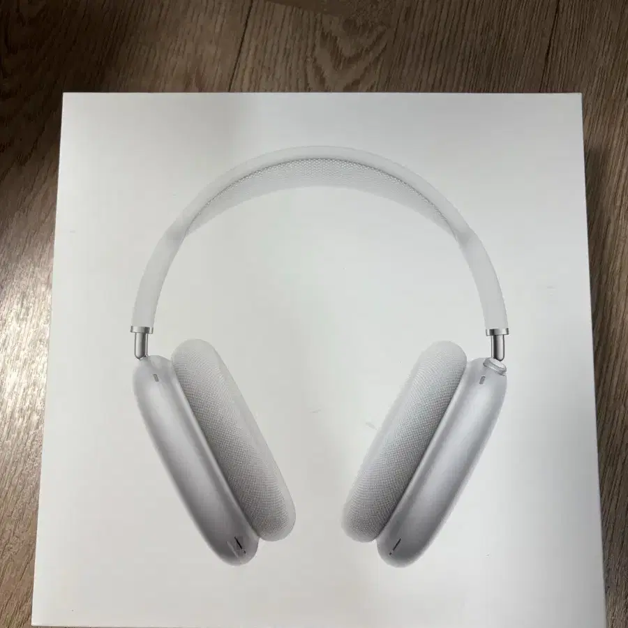 에어팟 맥스 (Airpods Maxs)