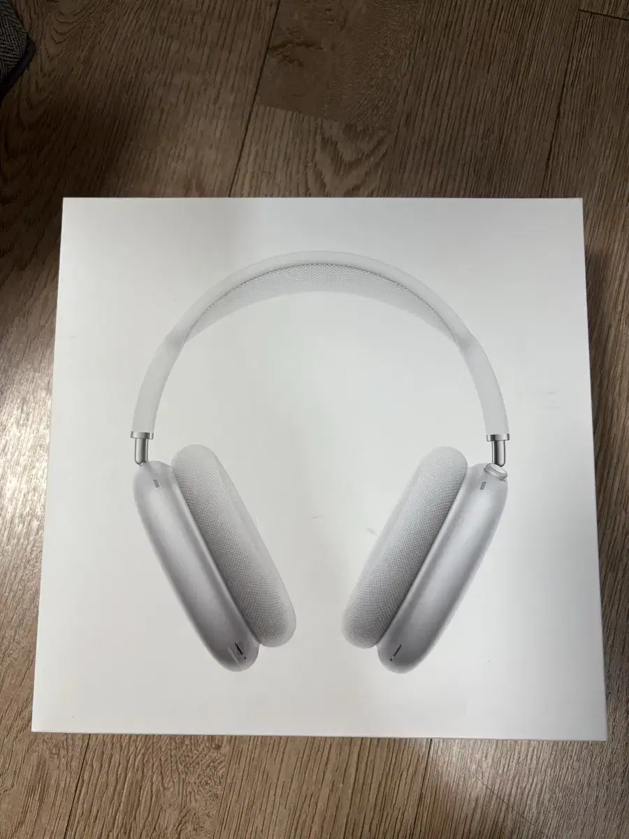 에어팟 맥스 (Airpods Maxs)