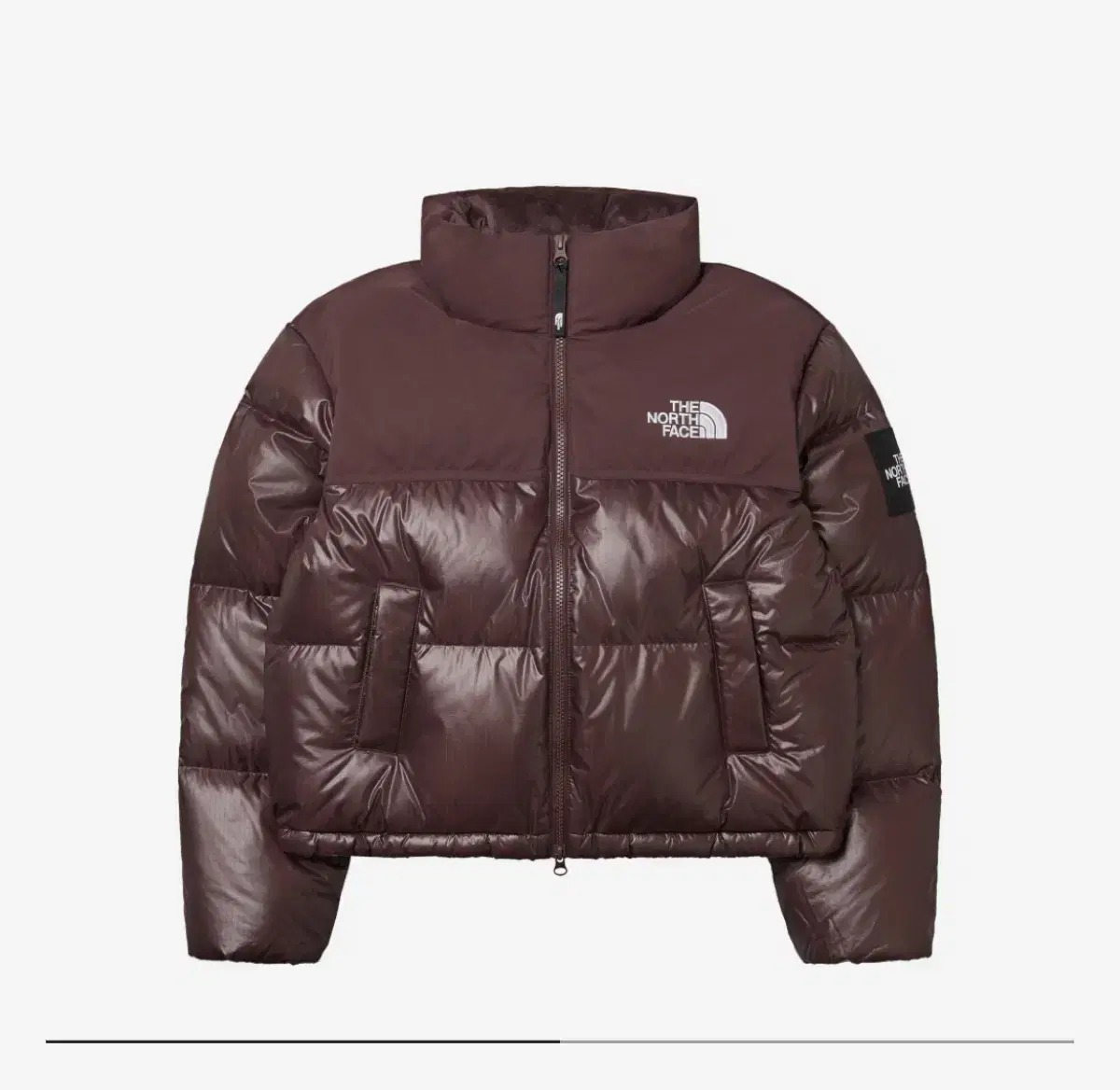 [New Product] North Face White Label Novelty Nupsey Padding Cocoa Brown XS