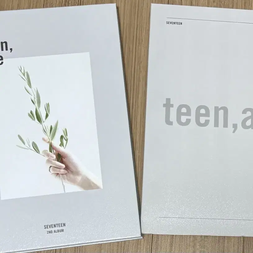 세븐틴 Teen, age white ver., green ver. 개봉