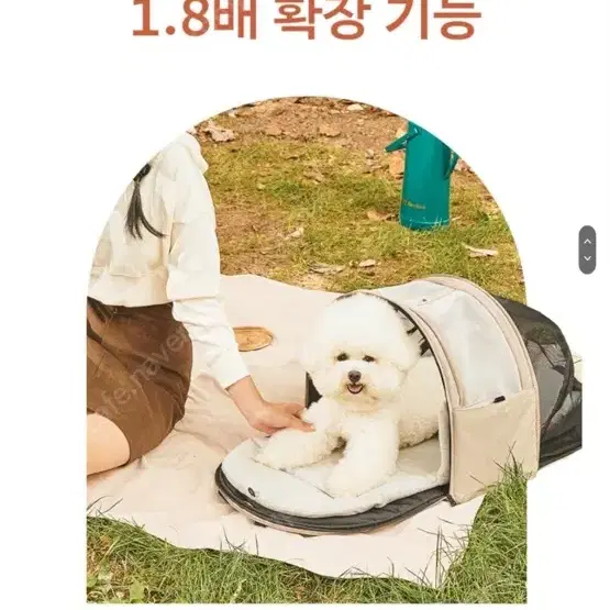 강아지 이동가방