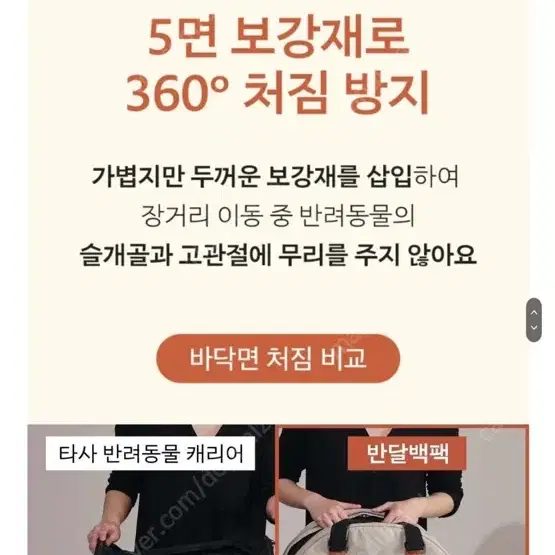 강아지 이동가방