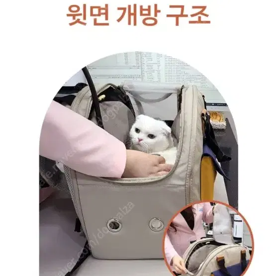 강아지 이동가방