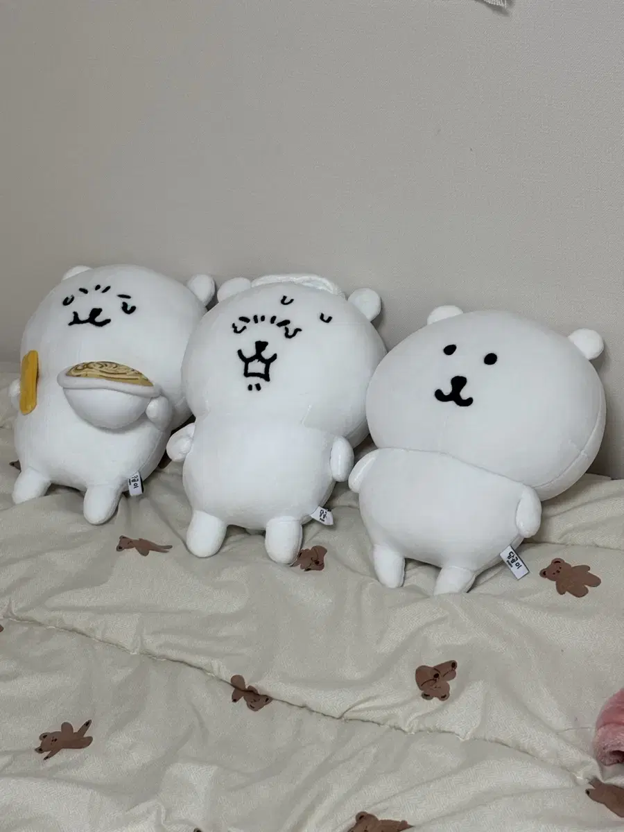 농담곰 인형 일괄