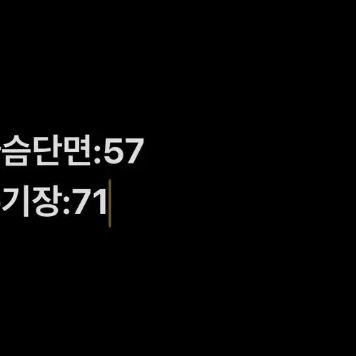 [정품/L] 노스페이스 남성 바람막이 자켓     b3