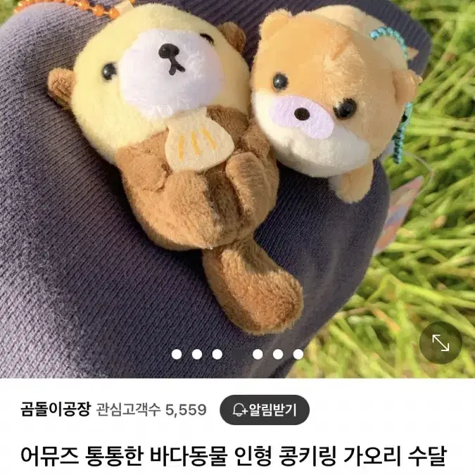 구해요!!!!!어뮤즈 해달 동물 인형 콩키링