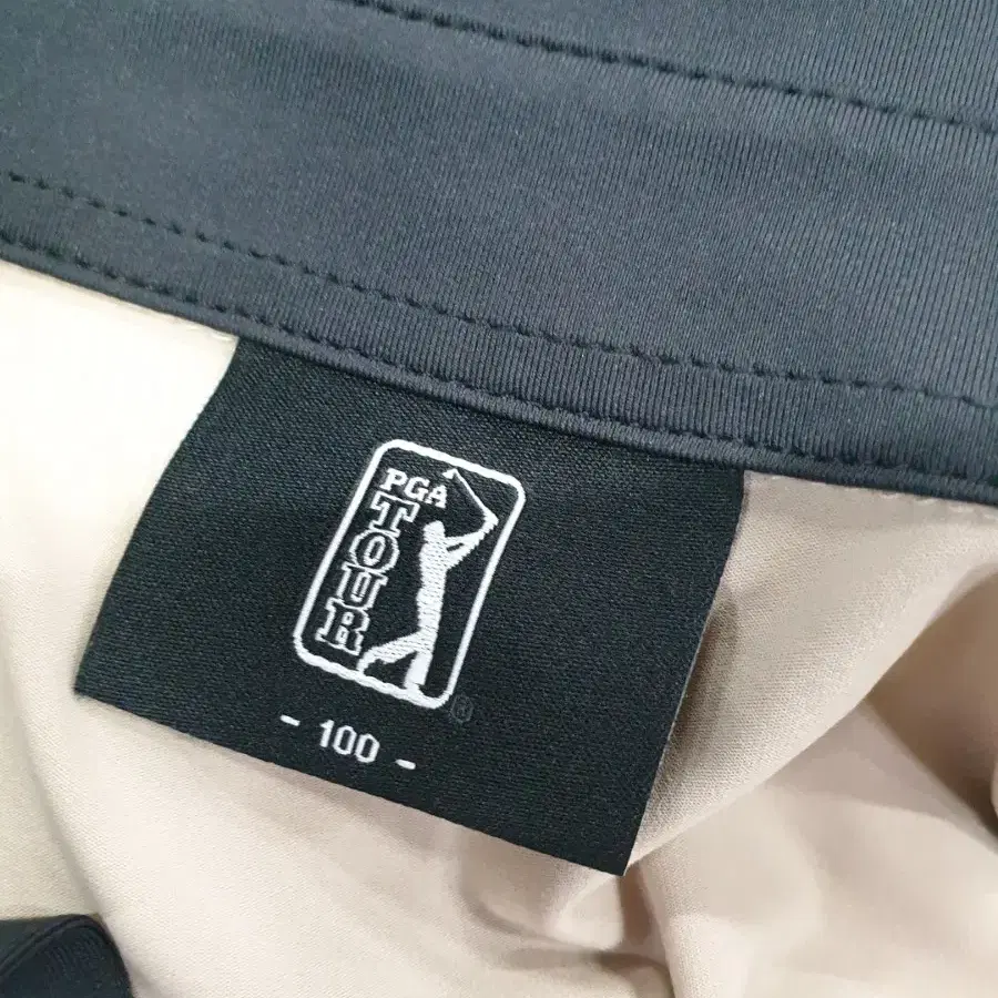 PGA 티 100