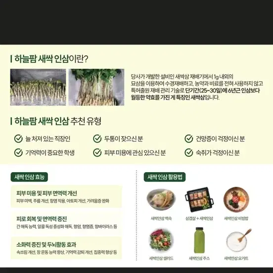 새싹인삼 수경재배