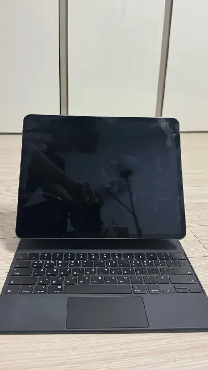 ipad pro 5th 12.9 256GB