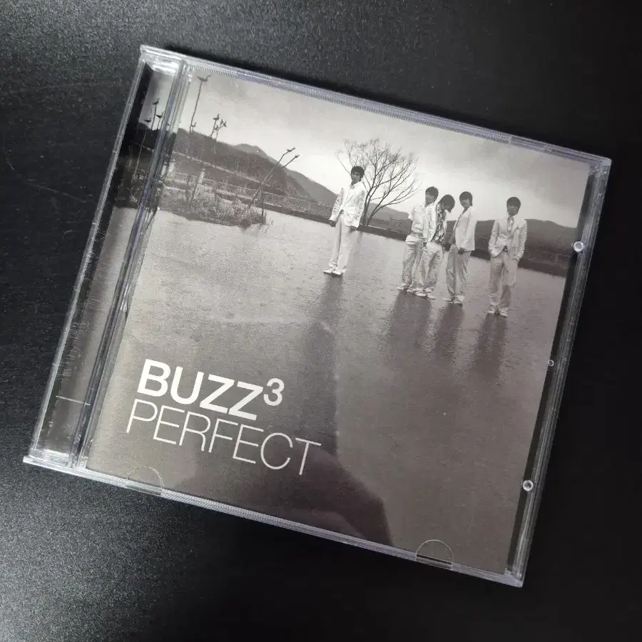 버즈 3집 BUZZ PERFECT CD